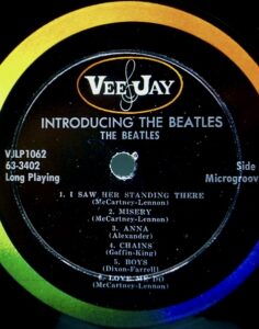 INTRODUCING THE BEATLESLP1062　mono